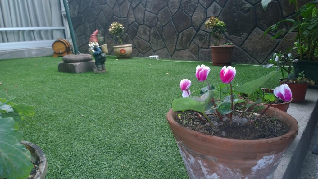 Bed & Breakfast Blumen Haus Santiago de Chile Exterior foto