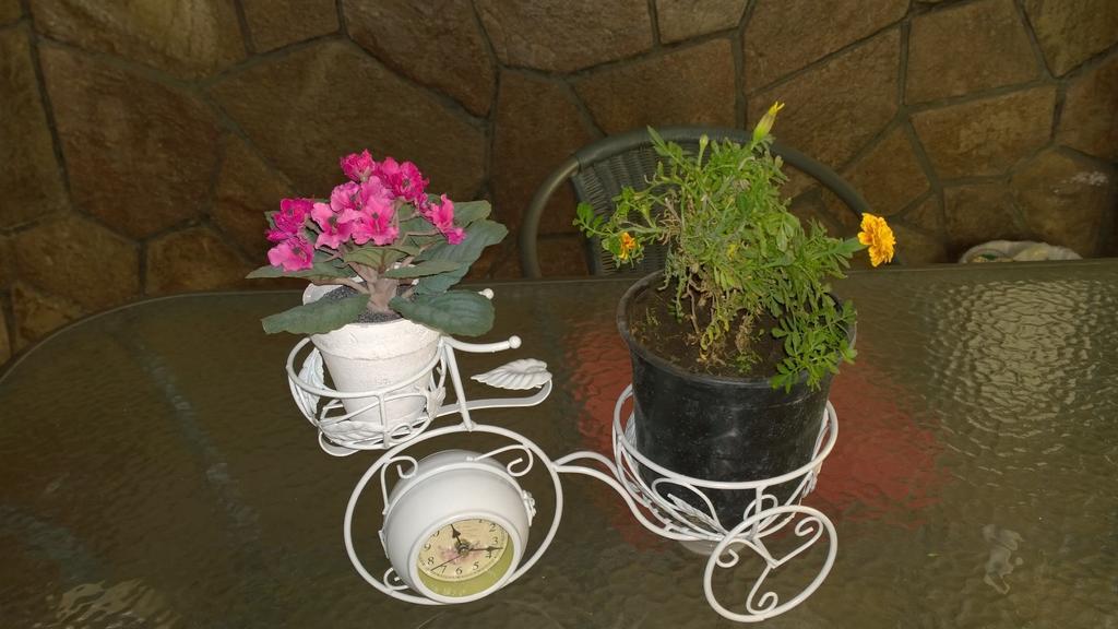 Bed & Breakfast Blumen Haus Santiago de Chile Exterior foto